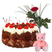 1kg Black Forest Cake with Small Teddy and Single Red Rose