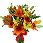 12 pcs lily fiower