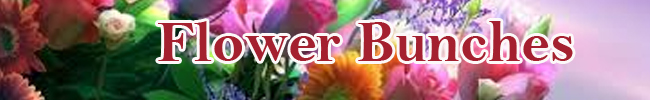 Flower Bunches