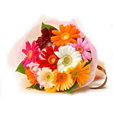 10  fresh mix gerbera bunch